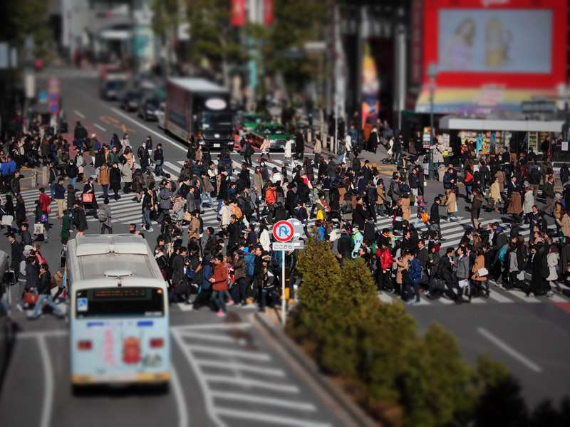 British tourist: 'I gave New York terror suspect five stars on Uber'